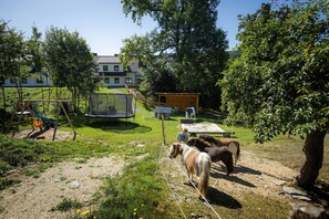 A residential area with a trampoline, a swing set, a horse, and a barn. - Apartment 'Waldhaus' with Mountain View, Balcony and Wi-Fi (Schmallenberg)