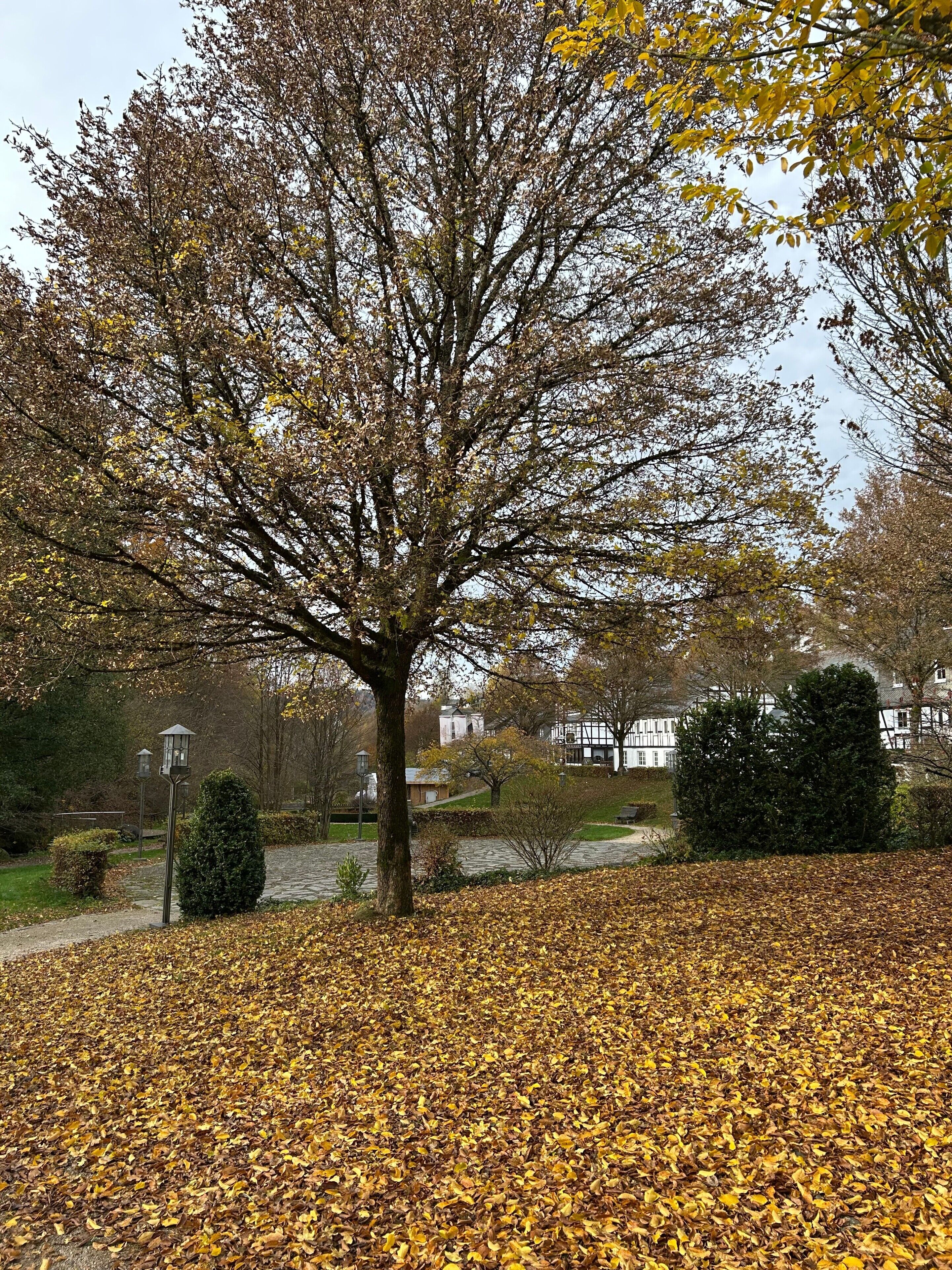 Un parc bordé d’arbres, avec un sentier en pierre et un bâtiment visible au loin.