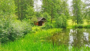 A cabin surrounded by lush greenery and a calm pond. - Holiday Home 'Häusle Nr 2' with Shared Garden and Balcony (Titisee-Neustadt)