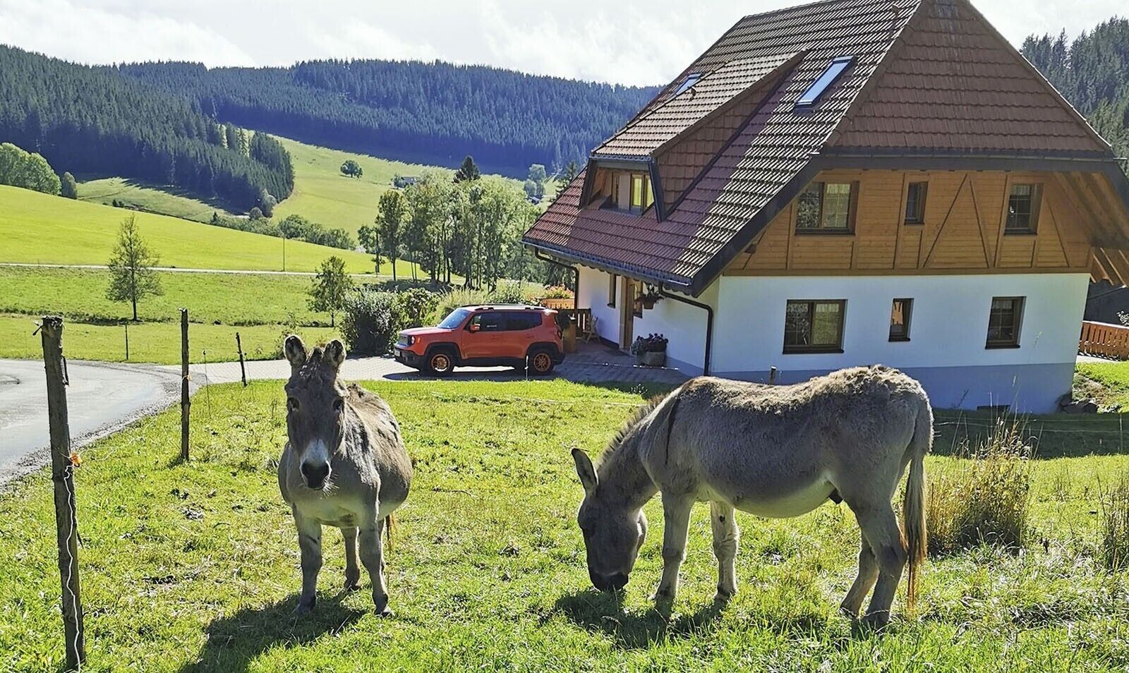 A rural setting with a house, two donkeys, and a red vehicle.