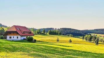 Ulkopuoli