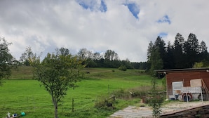 Paisaje rural con un campo verde, un árbol, un edificio con ventana y una cerca.