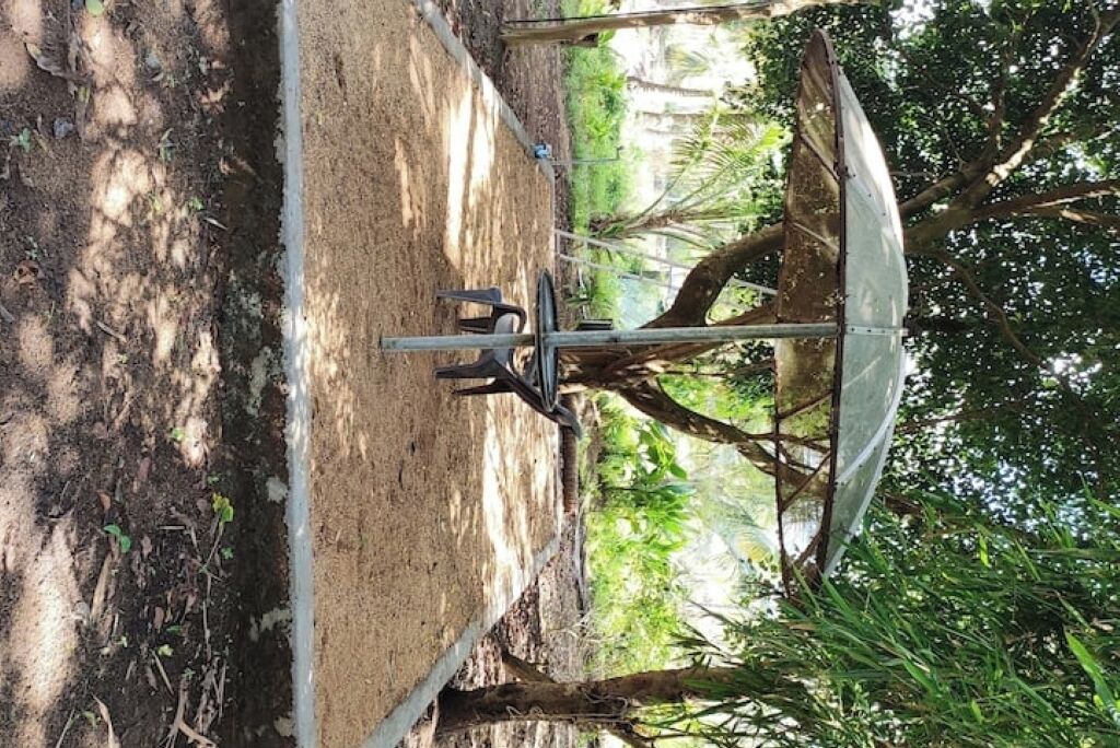 A satellite dish mounted on a metal frame, surrounded by trees and vegetation.