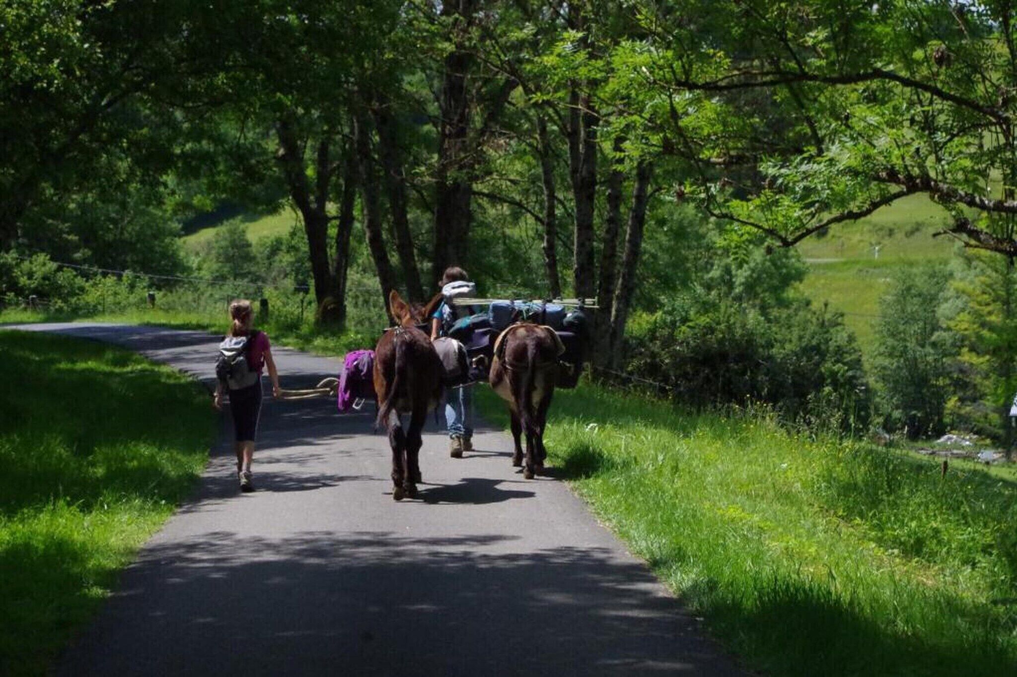 Un sentier bordé d’arbres, sur lequel on aperçoit une personne et une calèche tirée par des chevaux.