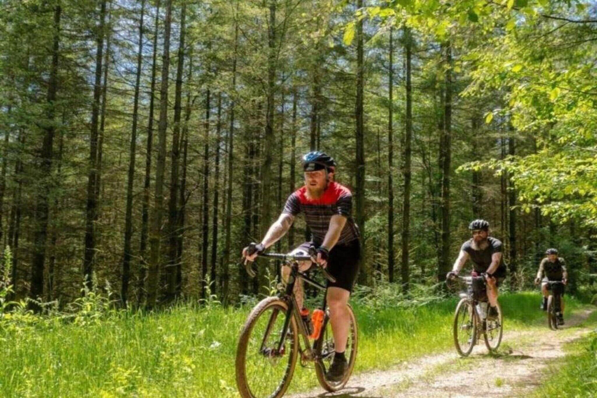 A forested path with cyclists.