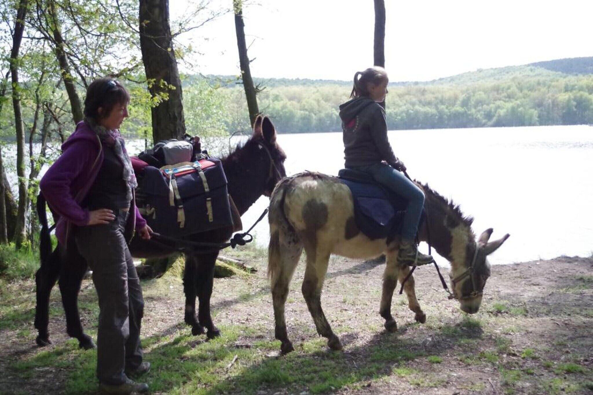 Two people with a horse and a cart near a lake.