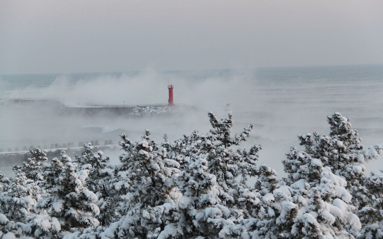 A lighthouse in a foggy coastal setting with snow-covered trees in the foreground.