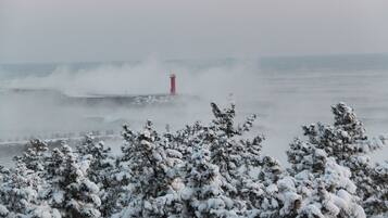 A lighthouse in a foggy coastal setting with snow-covered trees in the foreground.
