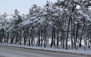 Beach nearby, white sand