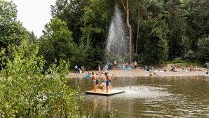 Eine natürliche Umgebung mit einem Teich, einer Anlegestelle und Menschen, die sich an Wassersportaktivitäten beteiligen.