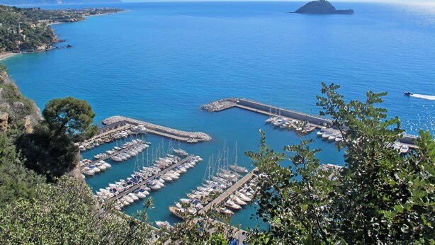 Un port de plaisance où sont amarrés de nombreux bateaux, entouré d’un paysage côtier composé d’arbres et d’une île visible au loin.