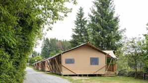 Une rangée de cabanes beiges, reliées par un chemin de gravier, est entourée d’une végétation luxuriante et d’arbres.
