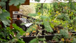 A person seated at an outdoor table with a view of a garden and a wooden structure in the background. - Modern chalet in Dochamps with terrace (Dochamps)