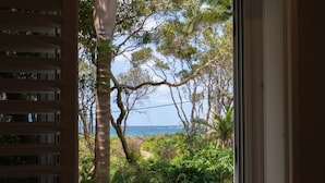 Une vue depuis une fenêtre donnant sur un jardin luxuriant, avec un palmier et un feuillage dense.