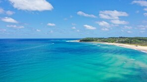 Beach - Driftwood on Home Beach Absolute Beachfront (Point Lookout)