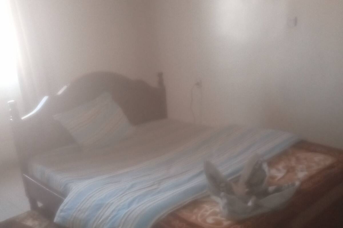A bed with a patterned bedspread, a pillow, and a blanket. There is a small table with a chair beside the bed.