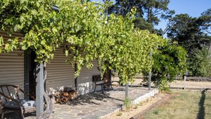 A building with a stone-paved patio, a bench, and a tree with green leaves.