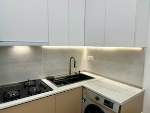 A compact kitchen with a gas stove, a sink, and a built-in washing machine. - Nova Charm Aparthotel in Old Tbilisi (Tbilisi)