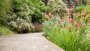 Un sentier de jardin bordé de différentes plantes et fleurs.