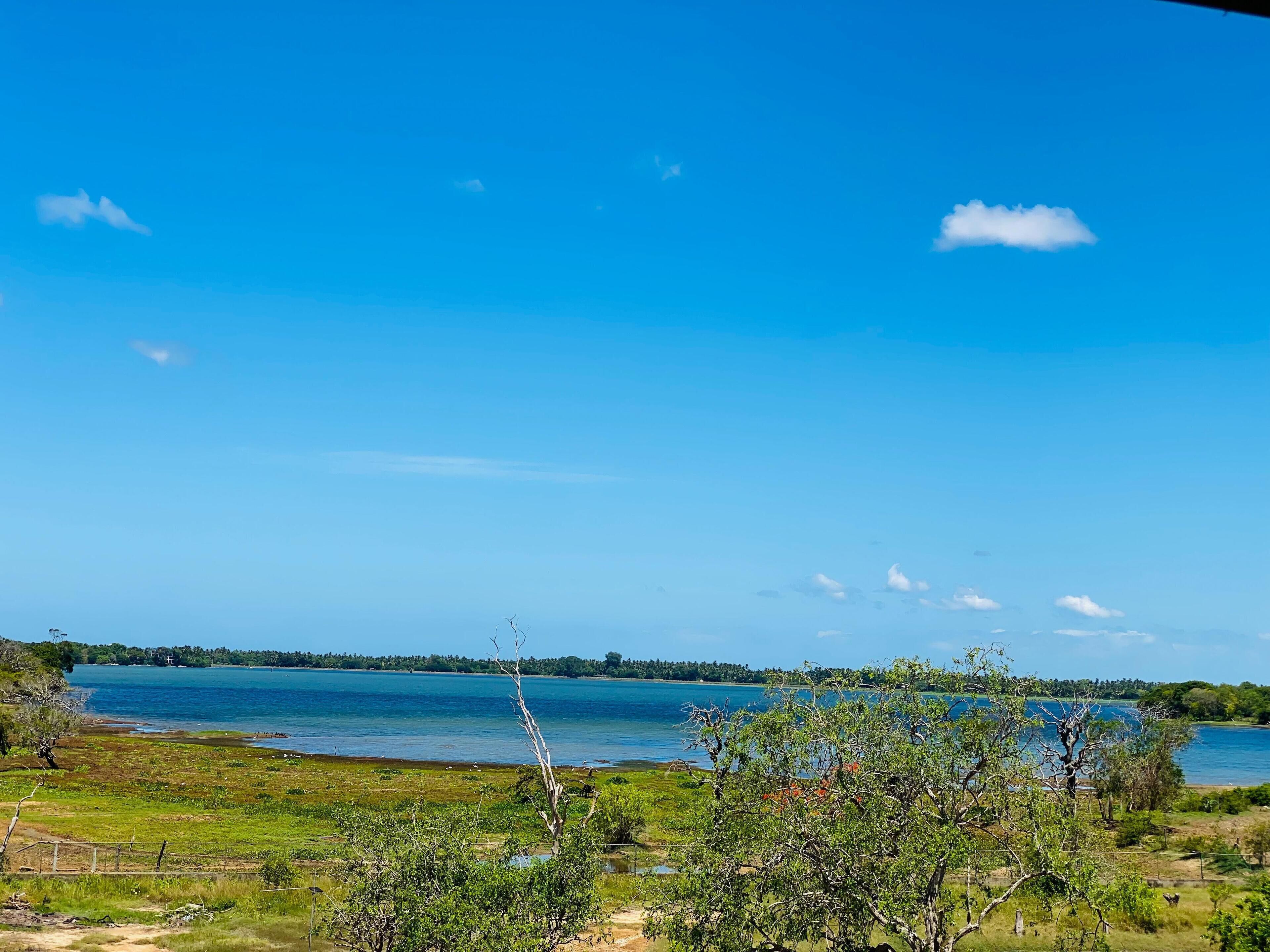 A coastal landscape with a clear sky, a body of water, and sparse vegetation.