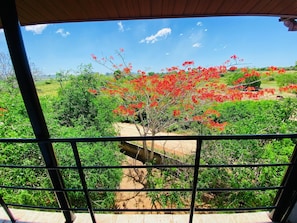 Deluxe Double Room, Lake View | In-room safe, desk, laptop workspace, soundproofing - Wanamal Lake Front Yala (Tissamaharama)
