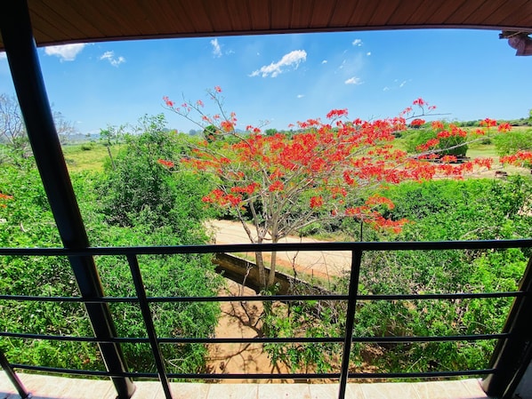 Deluxe Double Room, Lake View | In-room safe, desk, laptop workspace, soundproofing