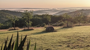 Um campo gramado com uma fenda de feno e árvores ao fundo.