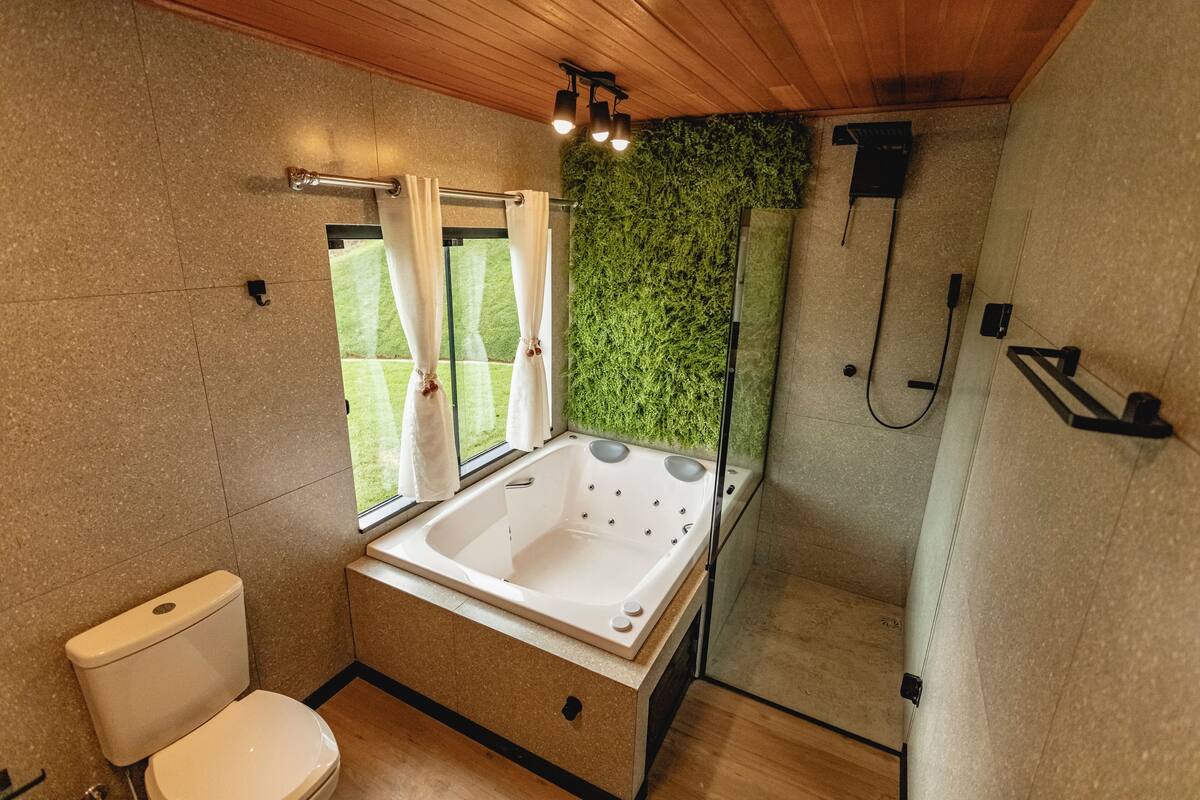 Une salle de bain moderne avec une baignoire sur pieds, une douche et des toilettes.