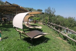 Espace extérieur aménagé avec un auvent, une clôture en bois rustique et un vignoble en arrière-plan.
