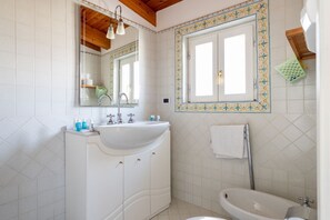 Shower, hair dryer, bidet, towels