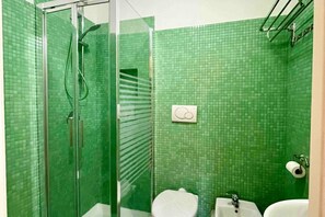 Shower, hair dryer, bidet, towels