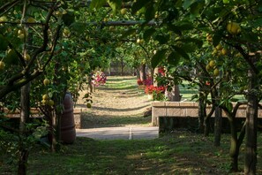 Overnattingsstedets uteområder