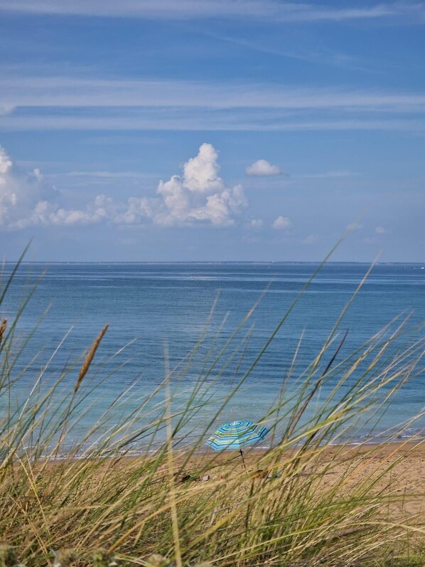 Beach - Magnificent Villa "carré 17 (Saint-Denis-d'Oléron)