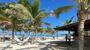 A beach with palm trees, a covered seating area, and a view of the ocean.