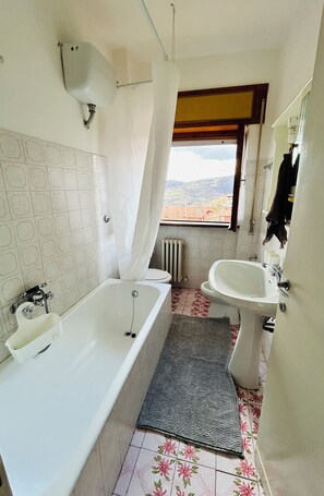 Shower, hair dryer, bidet, towels