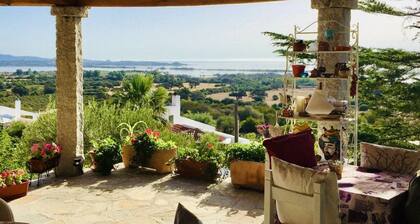 Camera Acquario - Villa Flores