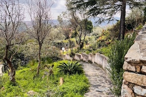 Property grounds - Camera Conchiglie - Villa Flores (Suaredda-traversa)