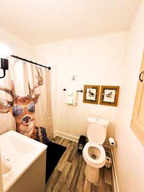 Een haardroger, handdoeken