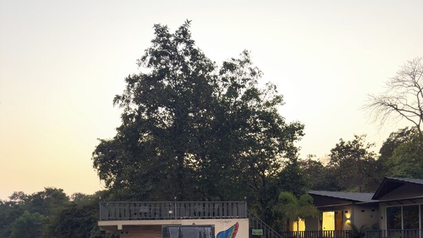 A swimming pool with a wooden deck, a water feature, and a building with a mural. - Mountain Woods Farm Stay (Khalapur)