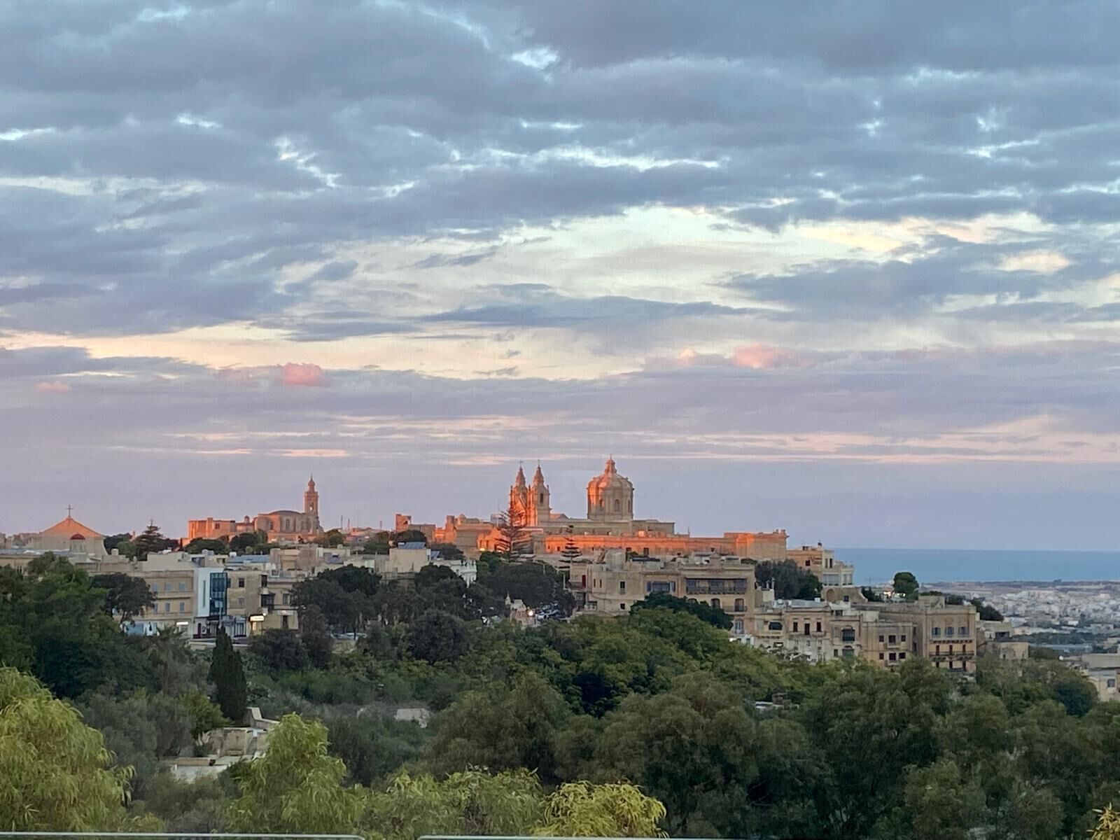 Un paisaje urbano con edificios históricos y una catedral destacada, rodeado de vegetación.