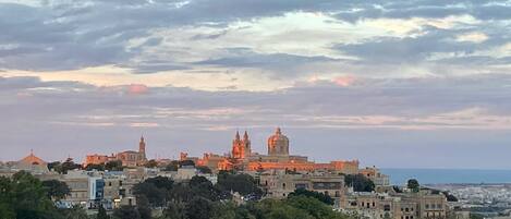 Un paisaje urbano con edificios históricos y una catedral destacada, rodeado de vegetación.