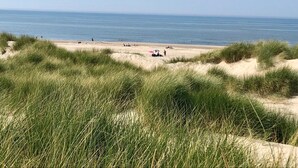 En strand med sandklitter og sparsom beplantning.
