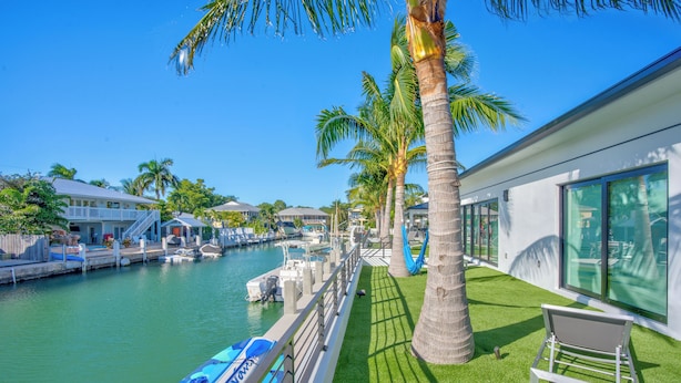 A marina with boats docked, a palm tree, and a bench.