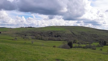 A green field with a hill in the background.