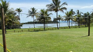 A volleyball net in a grassy field with palm trees and a body of water in the background.