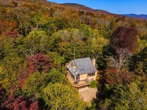 Una casa de un piso con techo inclinado, rodeada de un bosque denso.