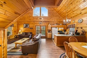 TV connectée, cheminée, jeux vidéo, lecteur de DVD