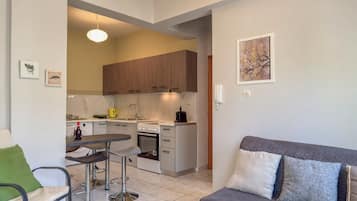 Basic Apartment, 1 Queen Bed with Sofa bed, Balcony, Beachfront | Living area | Flat-screen TV