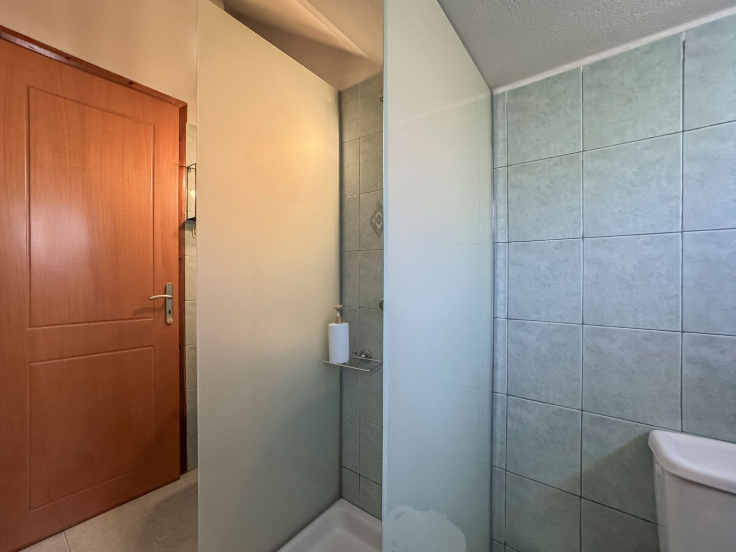 Uma casa de banho com porta de madeira, área de duche com azulejos e sanita.