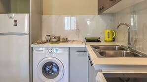 A compact kitchen with a washing machine, a sink, and a kettle. - Alisahni Home 1 (Chania)